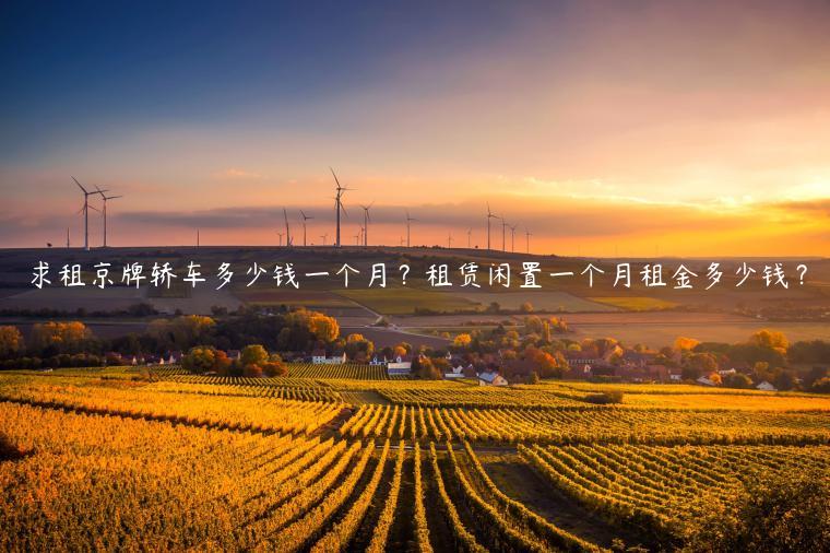 求租京牌轿车多少钱一个月？租赁闲置一个月租金多少钱？