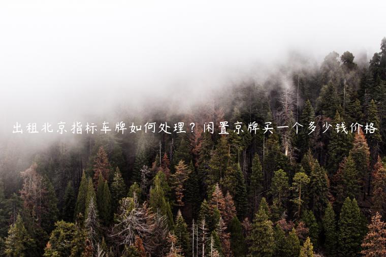 出租北京指标车牌如何处理？闲置京牌买一个多少钱价格