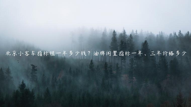 北京小客车指标租一年多少钱？油牌闲置指标一年、三年价格多少
