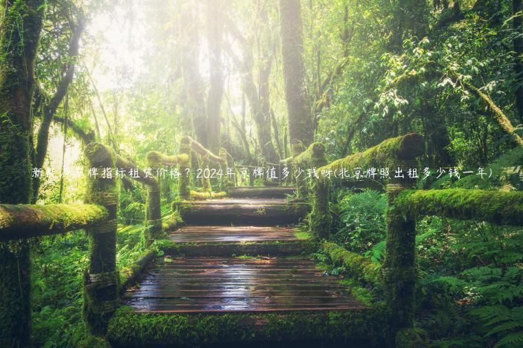 新能源车牌指标租赁价格？2024年京牌值多少钱呀(北京牌照出租多少钱一年)