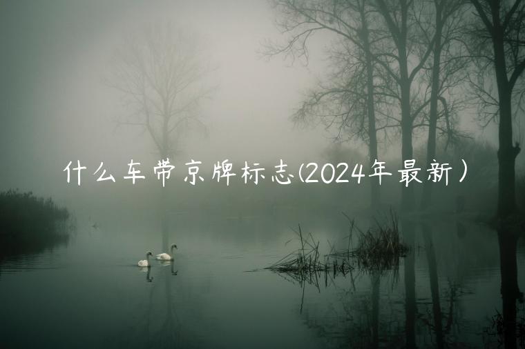 什么车带京牌标志(2024年最新）