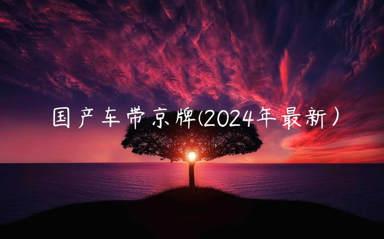 国产车带京牌(2024年最新）