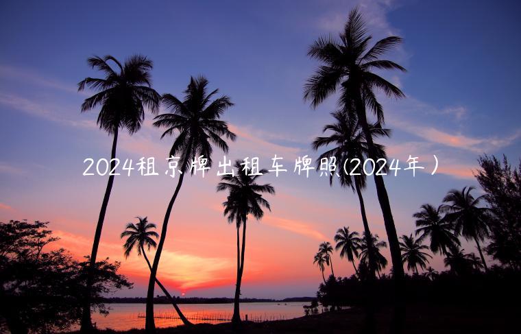 2024租京牌出租车牌照(2024年）