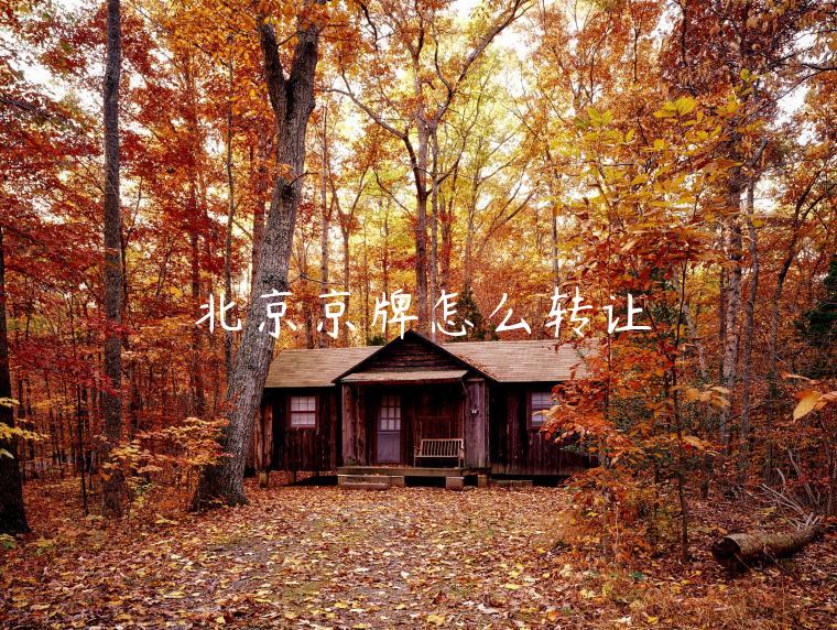 北京京牌怎么转让