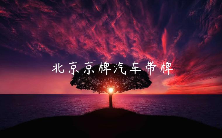 北京京牌汽车带牌