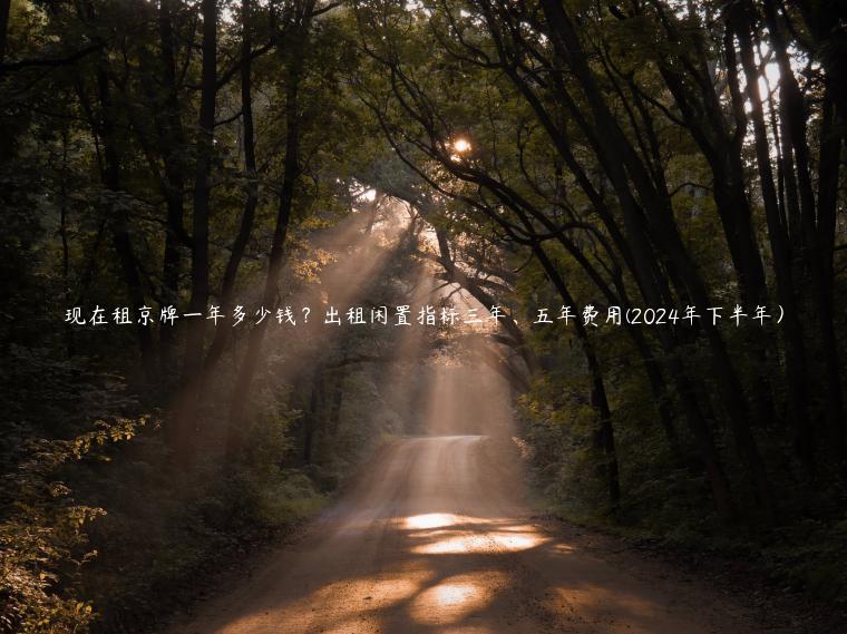 现在租京牌一年多少钱？出租闲置指标三年、五年费用(2024年下半年）
