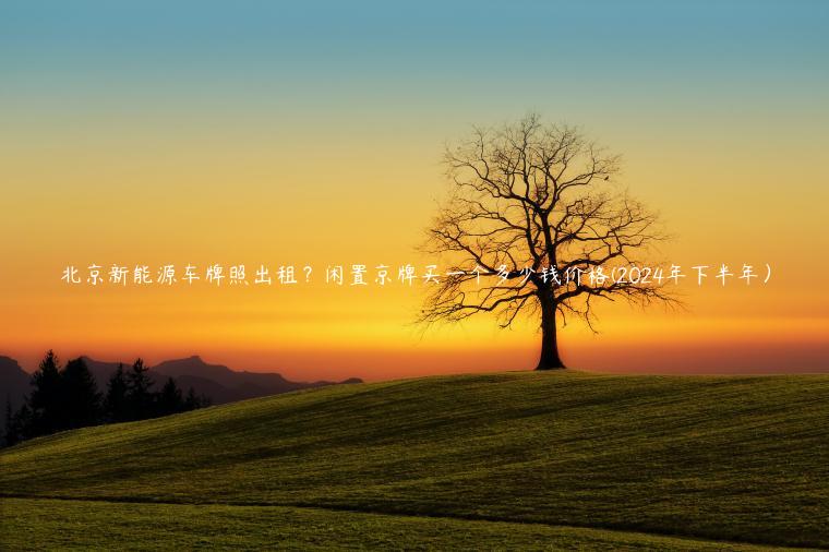 北京新能源车牌照出租？闲置京牌买一个多少钱价格(2024年下半年）