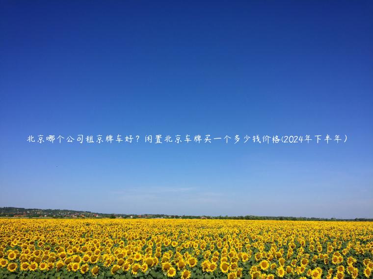 北京哪个公司租京牌车好？闲置北京车牌买一个多少钱价格(2024年下半年）