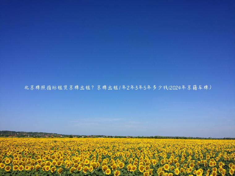 北京牌照指标租赁京牌出租？京牌出租1年2年3年5年多少钱(2024年京籍车牌）