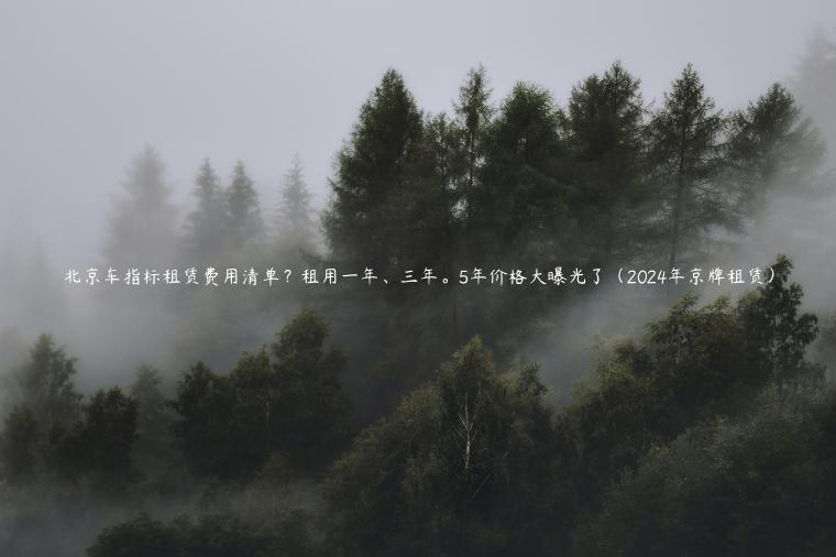 北京车指标租赁费用清单？租用一年、三年。5年价格大曝光了（2024年京牌租赁）