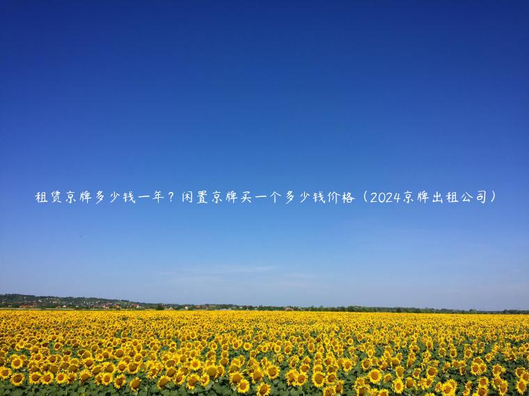 租赁京牌多少钱一年？闲置京牌买一个多少钱价格（2024京牌出租公司）