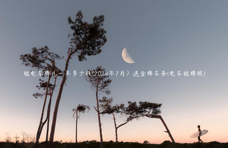 租电车牌儿一年多少钱(2024年7月）选金牌车务(电车租牌照)