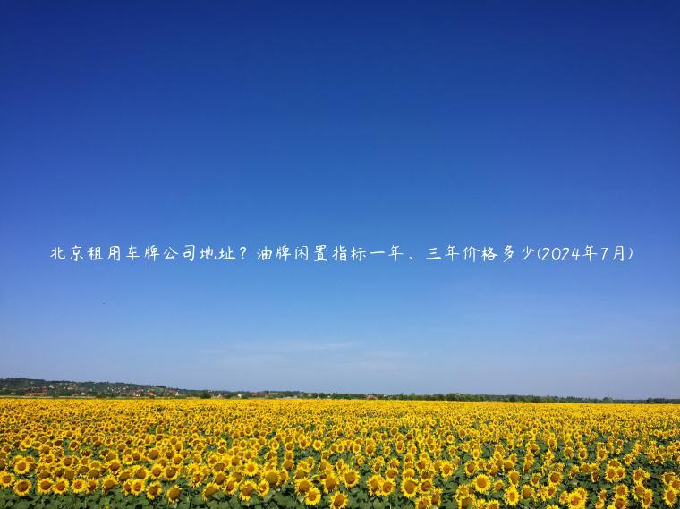 北京租用车牌公司地址？油牌闲置指标一年、三年价格多少(2024年7月)