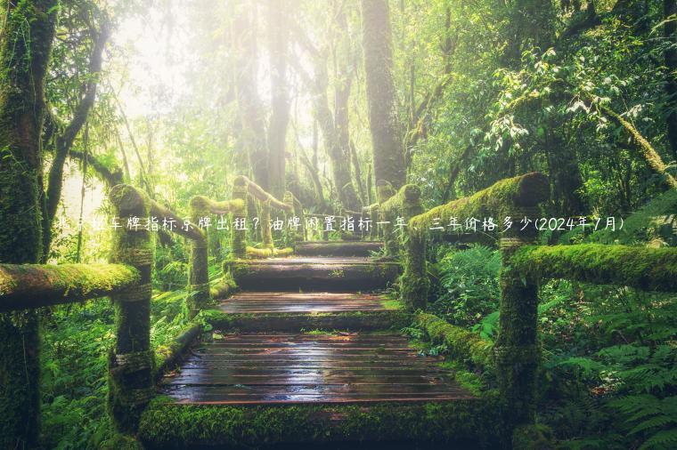 北京租车牌指标京牌出租？油牌闲置指标一年、三年价格多少(2024年7月)