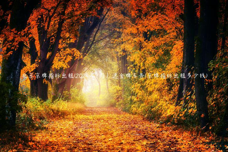 北京京牌指标出租(2024年7月）选金牌车务(京牌指标出租多少钱)
