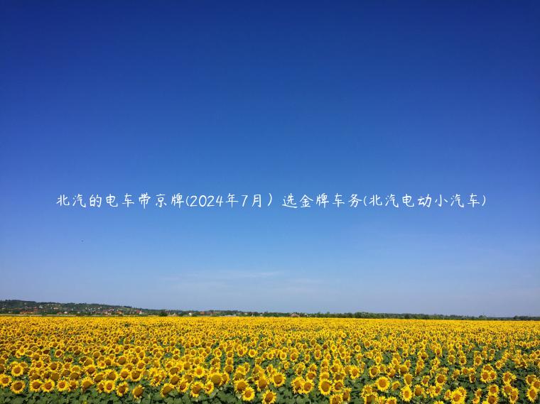 北汽的电车带京牌(2024年7月）选金牌车务(北汽电动小汽车)