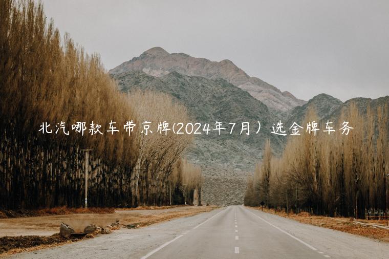 北汽哪款车带京牌(2024年7月）选金牌车务