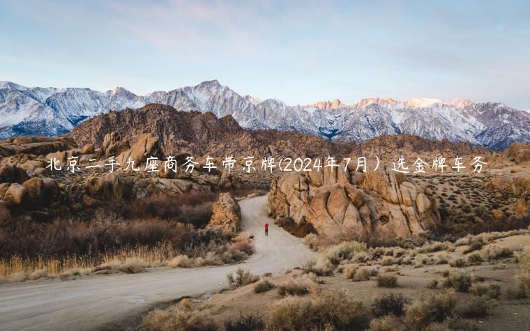 北京二手九座商务车带京牌(2024年7月）选金牌车务