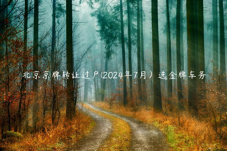 北京京牌转让过户(2024年7月）选金牌车务