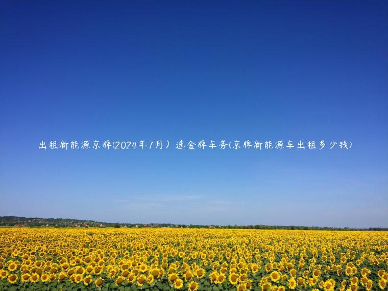 出租新能源京牌(2024年7月）选金牌车务(京牌新能源车出租多少钱)