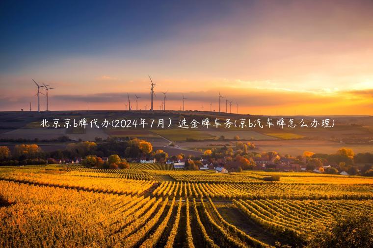 北京京b牌代办(2024年7月）选金牌车务(京b汽车牌怎么办理)