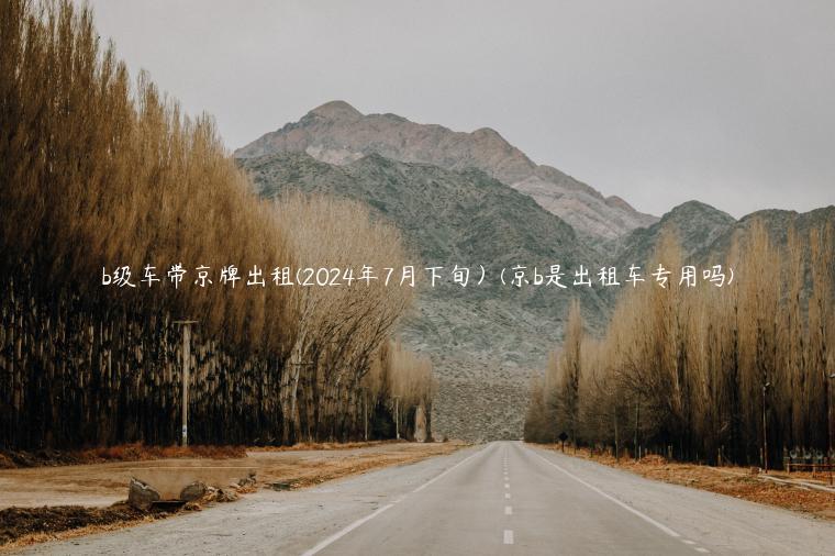 b级车带京牌出租(2024年7月下旬）(京b是出租车专用吗)