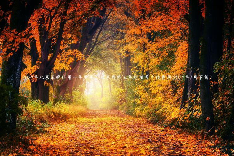 2024年北京车牌租用一年费用？北京牌照三年能租多少钱费用(2024年7月下旬）