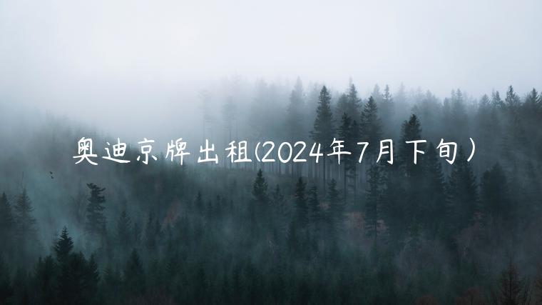 奥迪京牌出租(2024年7月下旬）