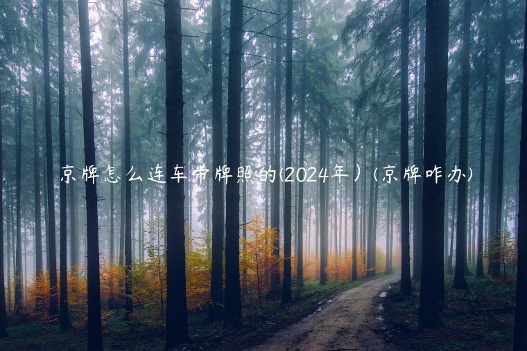 京牌怎么连车带牌照的(2024年）(京牌咋办)