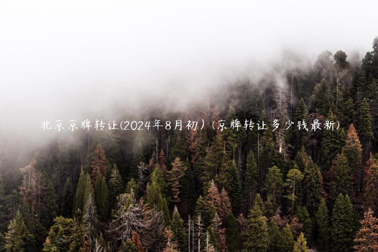 北京京牌转让(2024年8月初）(京牌转让多少钱最新)
