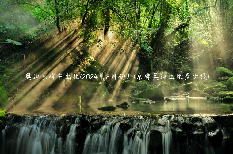 奥迪京牌车出租(2024年8月初）(京牌奥迪出租多少钱)