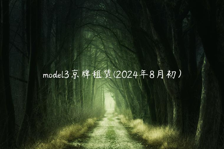model3京牌租赁(2024年8月初）