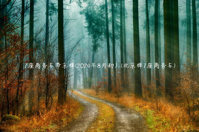 7座商务车带京牌(2024年8月初）(北京牌7座商务车)