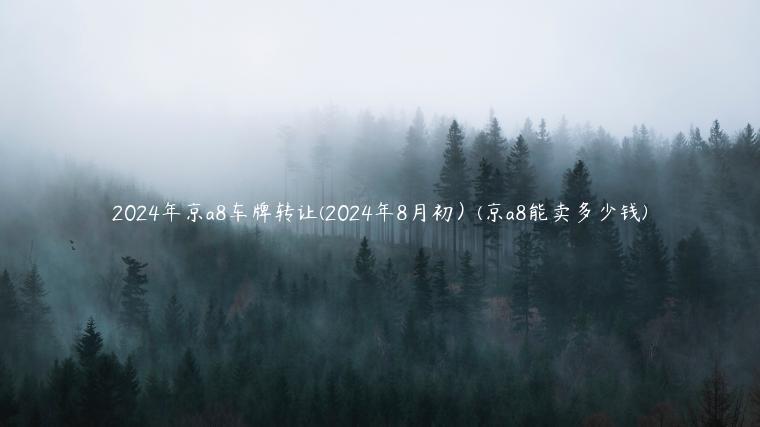 2024年京a8车牌转让(2024年8月初）(京a8能卖多少钱)