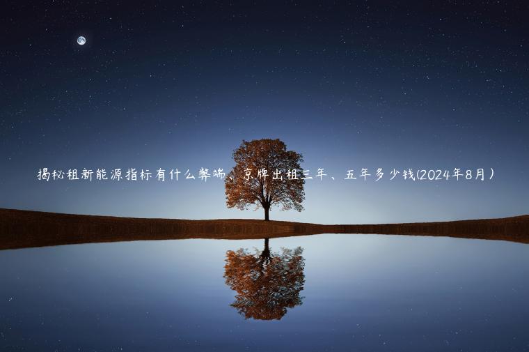 揭秘租新能源指标有什么弊端、京牌出租三年、五年多少钱(2024年8月）