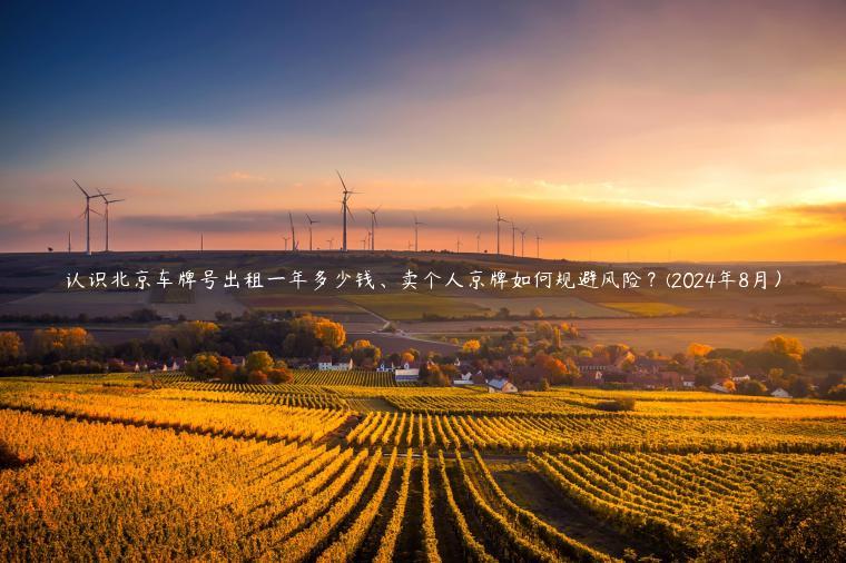认识北京车牌号出租一年多少钱、卖个人京牌如何规避风险？(2024年8月）