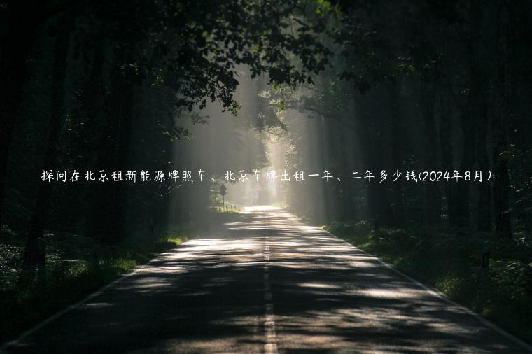 探问在北京租新能源牌照车、北京车牌出租一年、二年多少钱(2024年8月）