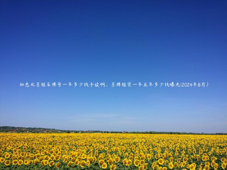 知悉北京租车牌号一年多少钱手续啊、京牌租赁一年五年多少钱曝光(2024年8月）