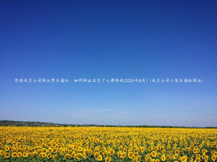 参阅北京公司转让带车指标、如何转让北京个人牌照呢(2024年8月）(北京公司小客车指标转让)