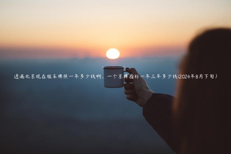 透漏北京现在租车牌照一年多少钱啊、一个京牌指标一年三年多少钱(2024年8月下旬）