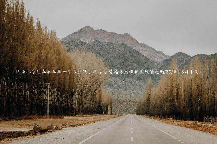 认识北京租车和车牌一年多少钱、北京京牌指标出租租赁风险规避(2024年8月下旬）