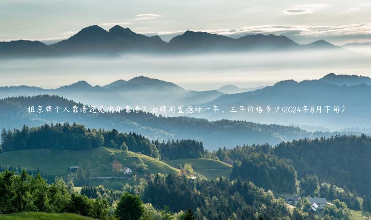 租京牌个人靠谱还是中介靠谱？油牌闲置指标一年、三年价格多少(2024年8月下旬）