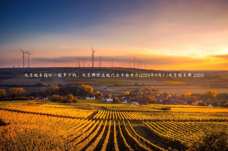 北京租车指标一般多少钱、北京牌照出租代办平台中介(2024年9月）(北京租车牌 2020)