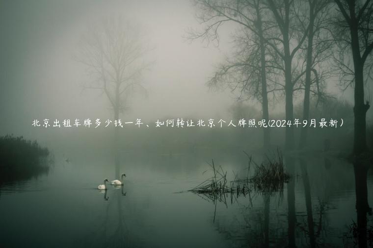 北京出租车牌多少钱一年、如何转让北京个人牌照呢(2024年9月最新）