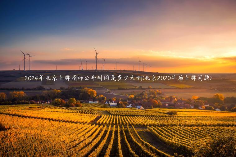 2024年北京车牌指标公布时间是多少天啊(北京2020年后车牌问题)