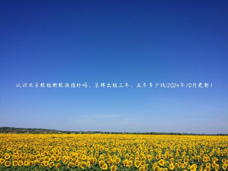 认识北京能租新能源指标吗、京牌出租三年、五年多少钱(2024年10月更新）