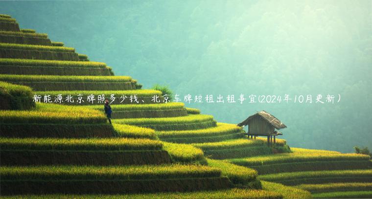 新能源北京牌照多少钱、北京车牌短租出租事宜(2024年10月更新）