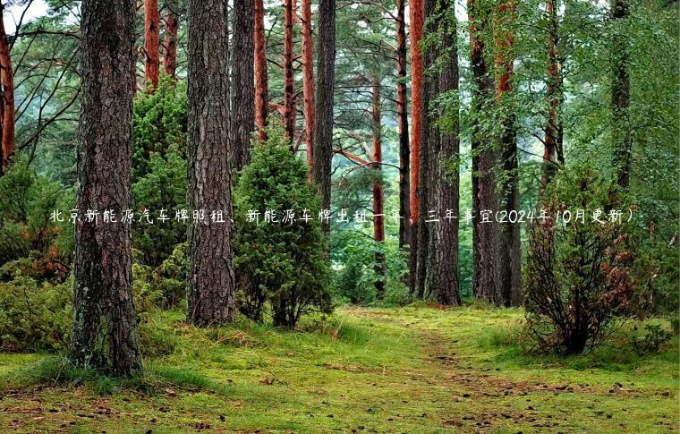 北京新能源汽车牌照租、新能源车牌出租一年、三年事宜(2024年10月更新）