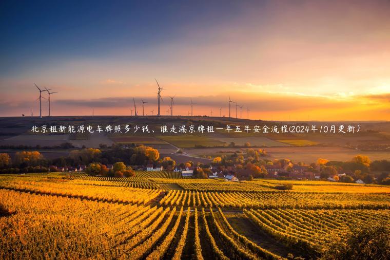 北京租新能源电车牌照多少钱、谁走漏京牌租一年五年安全流程(2024年10月更新）