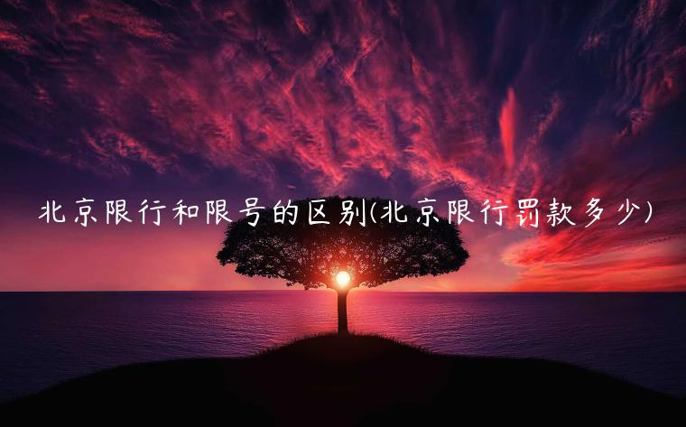北京限行和限号的区别(北京限行罚款多少)